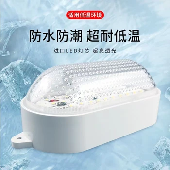 Холодильная светодиодная специальная водонепроницаемая лампа мощностью 10 Вт, влагостойкая, противотуманная, не допускающая движения, низкотемпературная заводская мастерская ванная комната